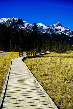 Pathway Canmore