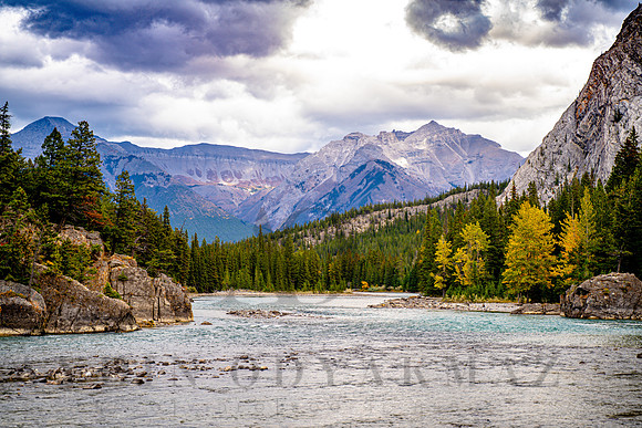 Bow River Banff